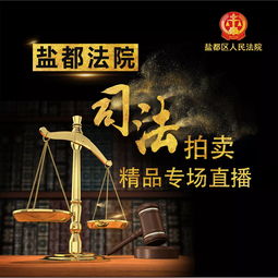 鹽都法院5.20司法拍賣精品等您帶走，法規解讀與操作指南